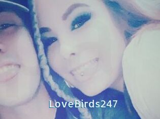 LoveBirds247