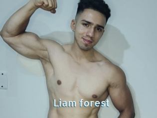 Liam_forest