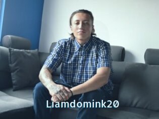 Liamdomink20