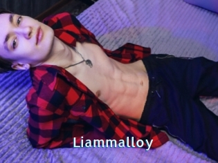 Liammalloy