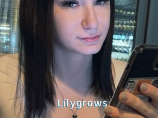Lilygrows