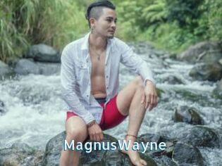 MagnusWayne