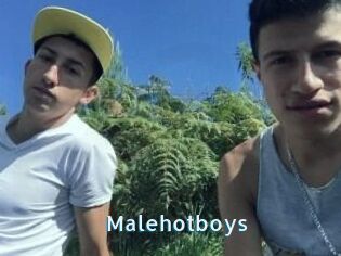 Malehotboys