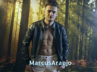 MarcusAranjo