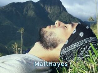 MattHayes