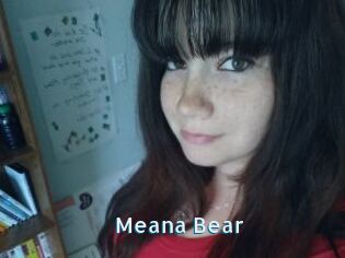 Meana_Bear