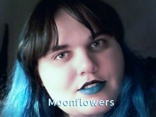 Moonflowers