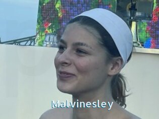 Malvinesley