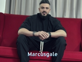 Marcusgale