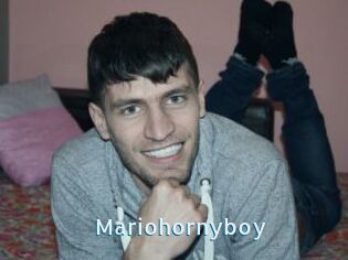 Mariohornyboy