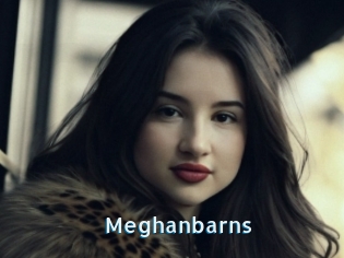 Meghanbarns