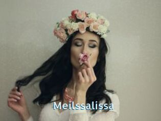 Meilssalissa