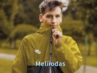 Meliiodas
