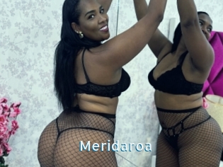 Meridaroa