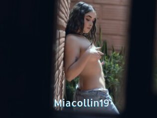 Miacollin19