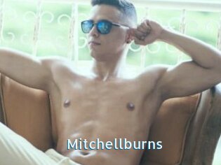 Mitchellburns