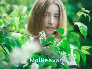 Mollieevans