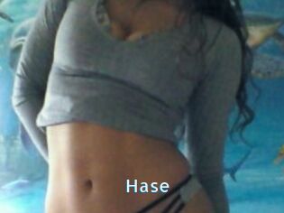 Hase