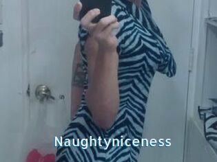 Naughtyniceness