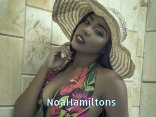NoaHamiltons