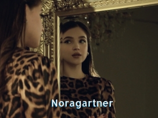 Noragartner