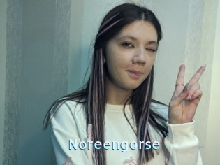 Noreengorse
