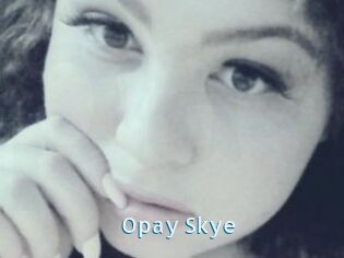 Opay_Skye