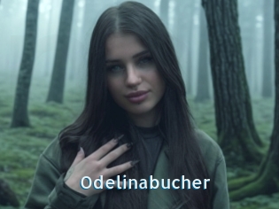 Odelinabucher