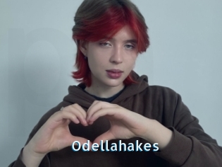 Odellahakes