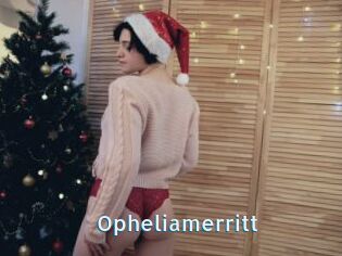 Opheliamerritt