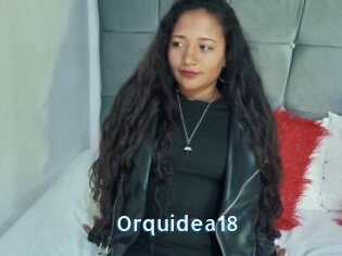Orquidea18