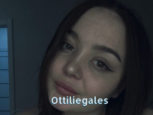 Ottiliegales