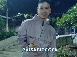 PAISABIGCOCK
