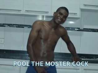 POOL_THE_MOSTER_COCK