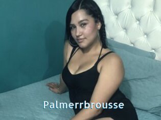 Palmerrbrousse