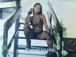 Pamelagate