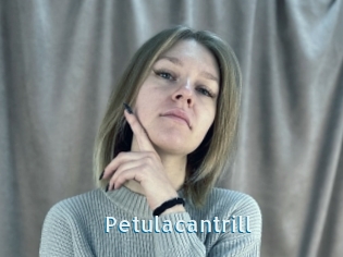 Petulacantrill