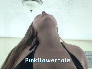 Pinkflowerhole