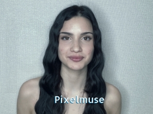 Pixelmuse
