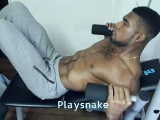 Playsnake