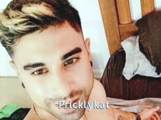 Pricklykat