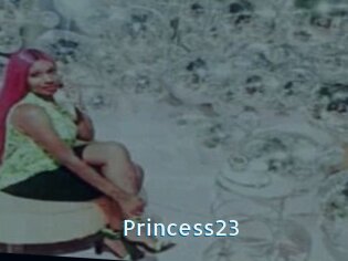 Princess23