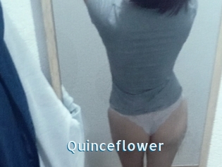 Quinceflower