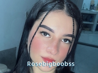 Rosebigboobss