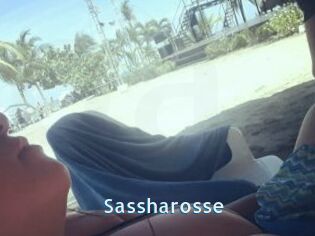 Sassharosse