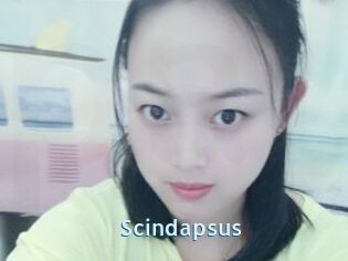 Scindapsus