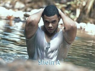 Shein_A