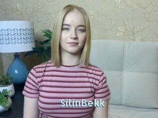 SilinBekk