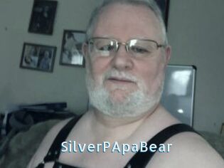 SilverPApaBear