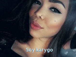 Soy_karygo